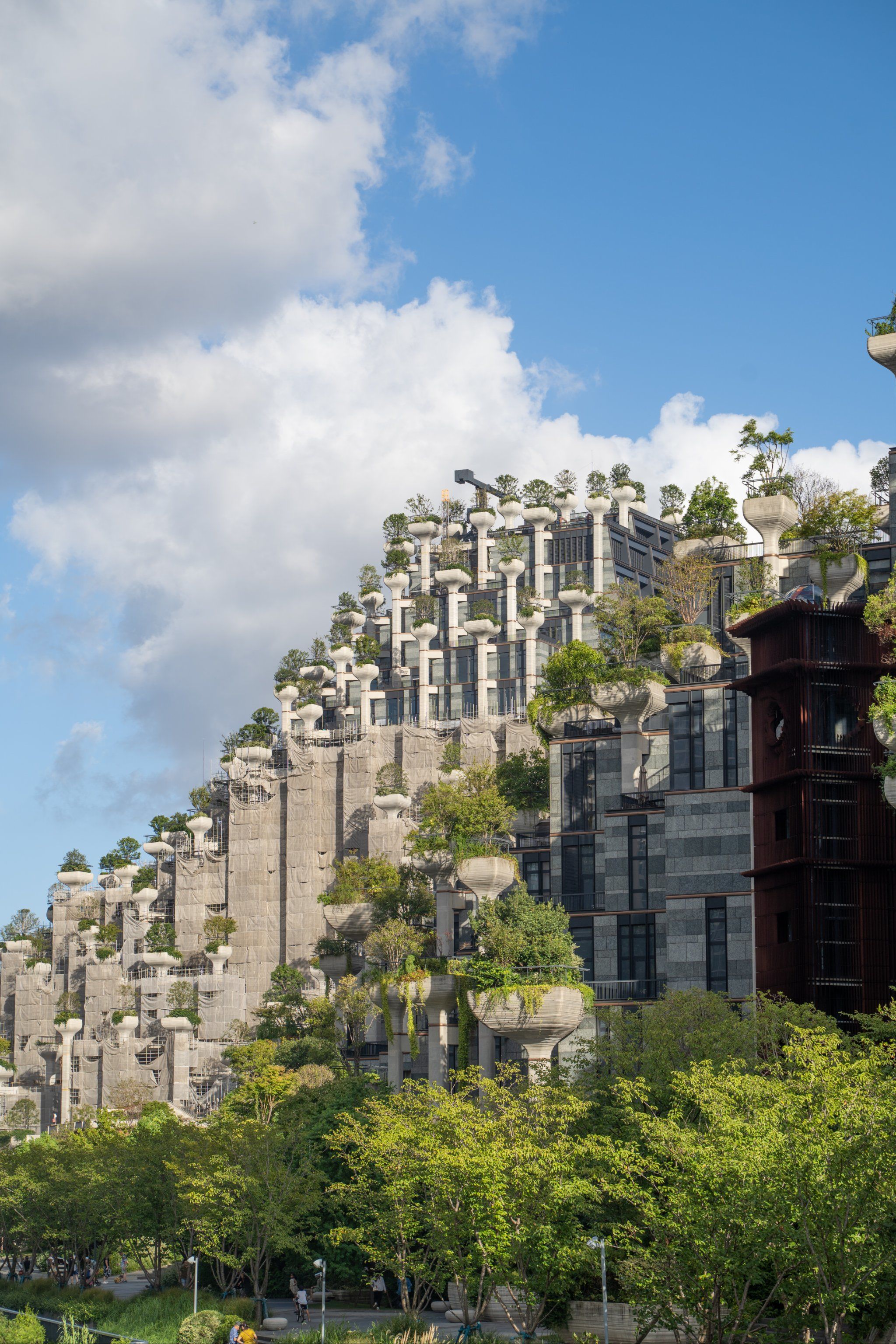 《一区王者,十区菜鸟?游戏分区背后的“隐形天梯”》